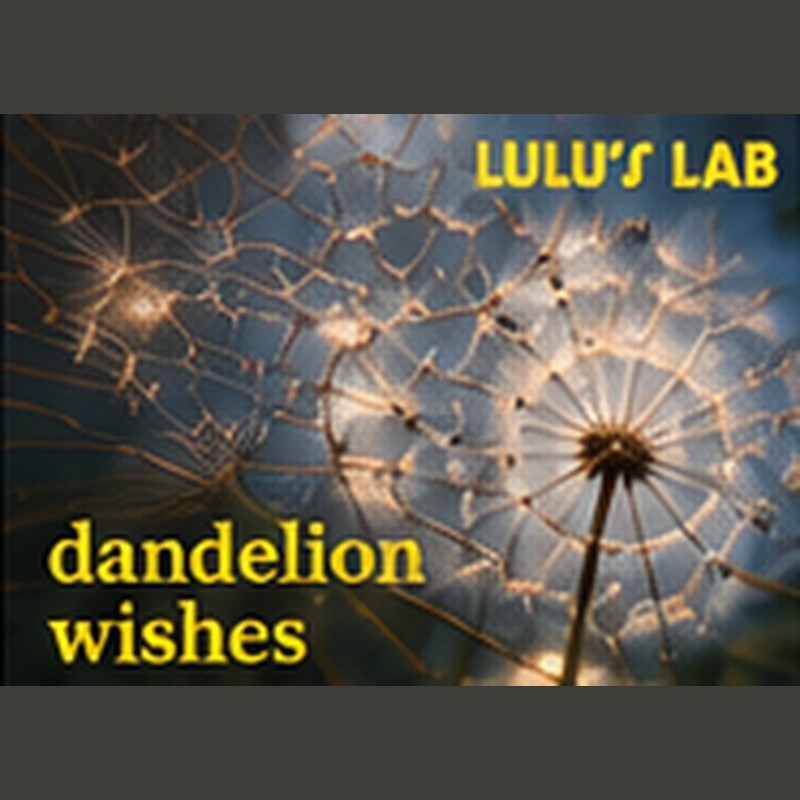 Album artwork for Dandelion Wishes